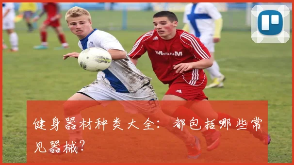 健身器材种类大全：都包括哪些常见器械？