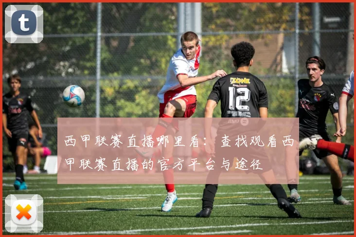 西甲联赛直播哪里看:查找观看西甲联赛直播的官方平台与途径