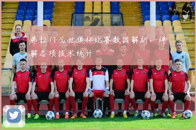 弗拉门戈世俱杯比赛数据解析，详解各项技术统计