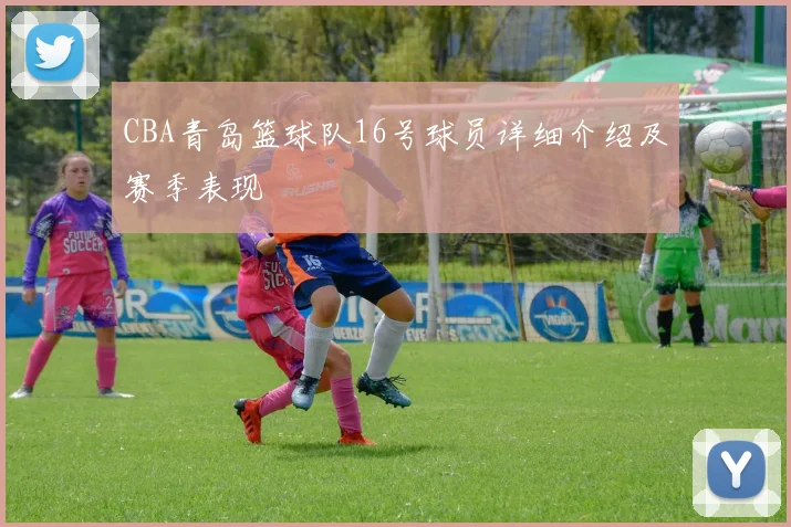 CBA青岛篮球队16号球员详细介绍及赛季表现