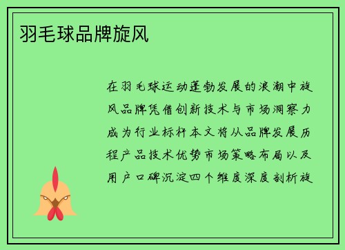 羽毛球品牌旋风